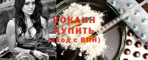 прущие крисы Кодинск