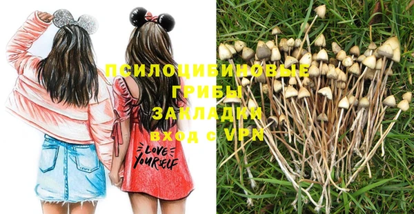 MDMA Premium VHQ Козельск