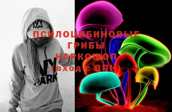хмурый Козловка