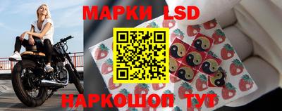 spice Дубна