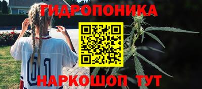 spice Дубна