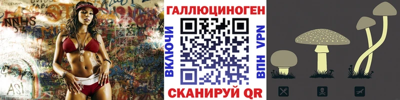 Галлюциногенные грибы Psilocybine cubensis  Чапаевск 