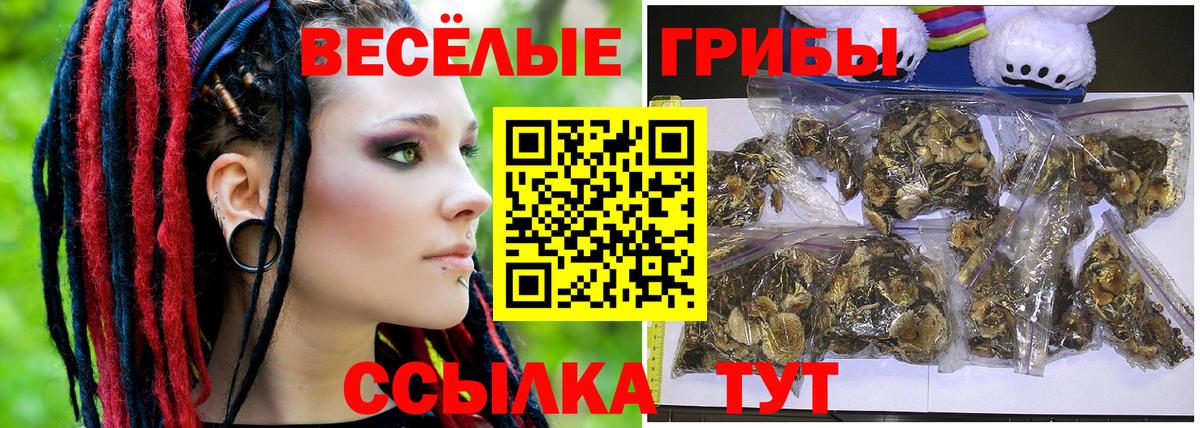 Псилоцибиновые грибы Psilocybine cubensis Чапаевск