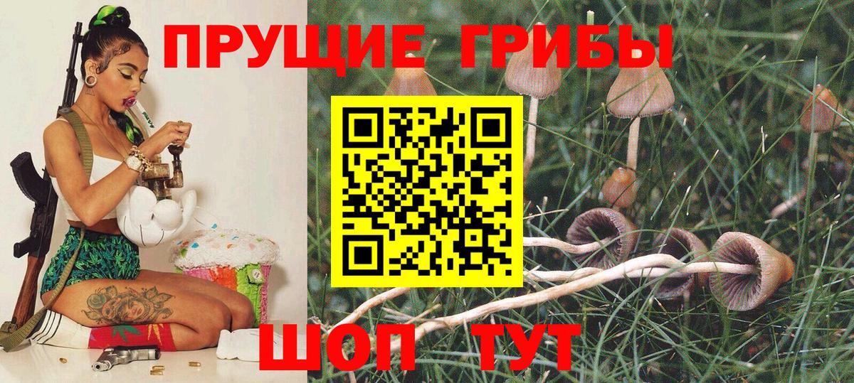 Галлюциногенные грибы MAGIC MUSHROOMS  как найти закладки  Чапаевск  Вход с VPN 